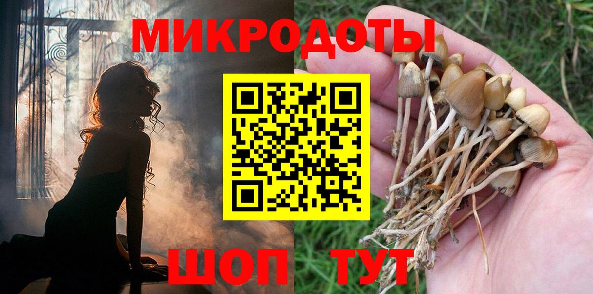 Каменск-Уральский  Галлюциногенные грибы GOLDEN TEACHER  Вход с VPN  Псилоцибиновые грибы мухоморы 