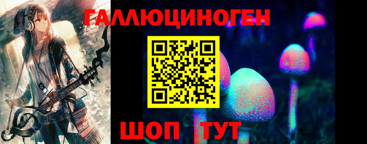 Псилоцибиновые грибы Psilocybine cubensis Каменск-Уральский